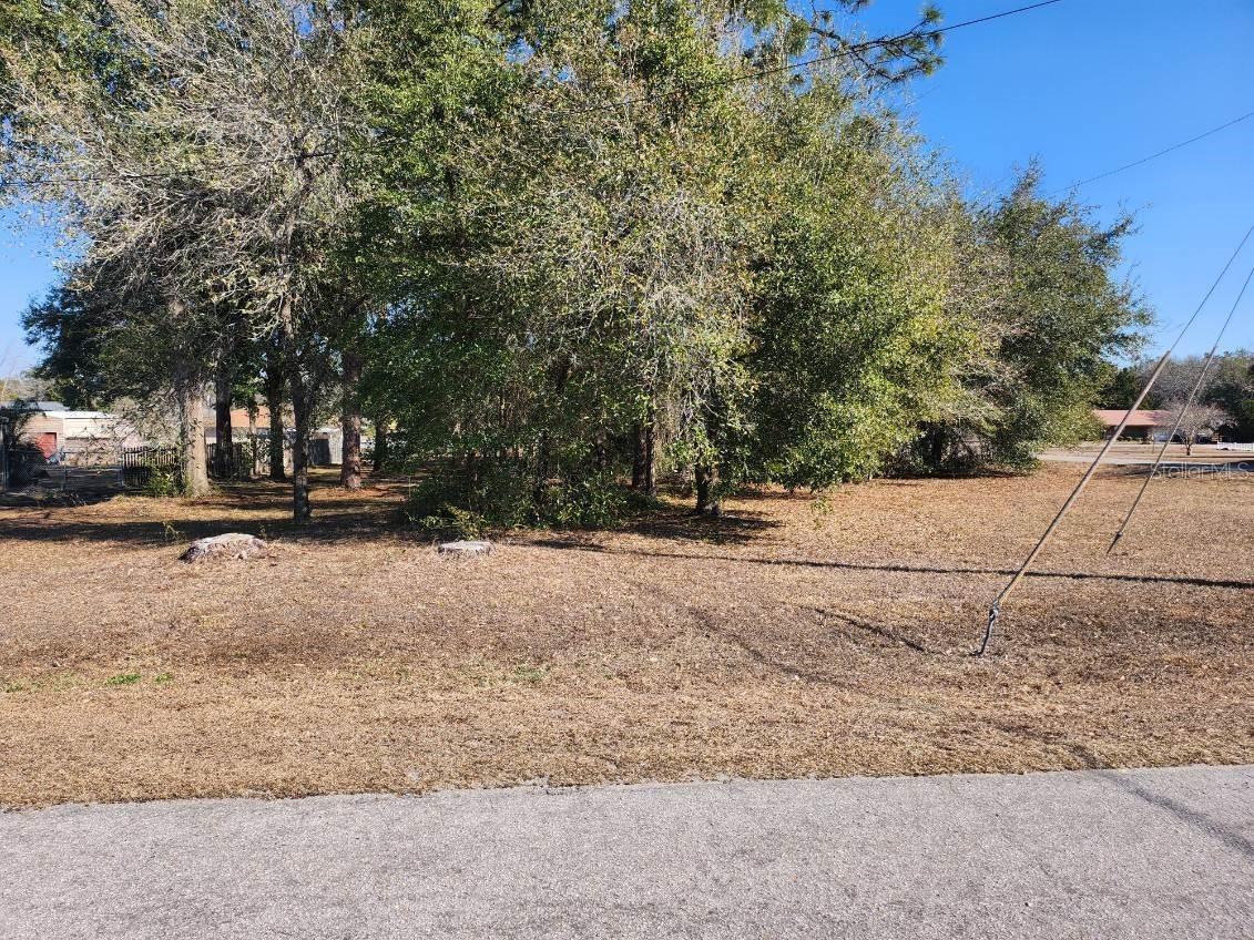Se 97th Ter Summerfield FL 34491 TB8478193 image1