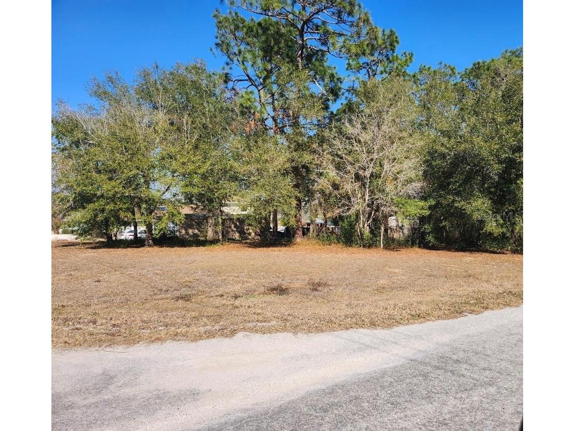 Se 97th Ter Summerfield FL 34491 TB8478193 image2