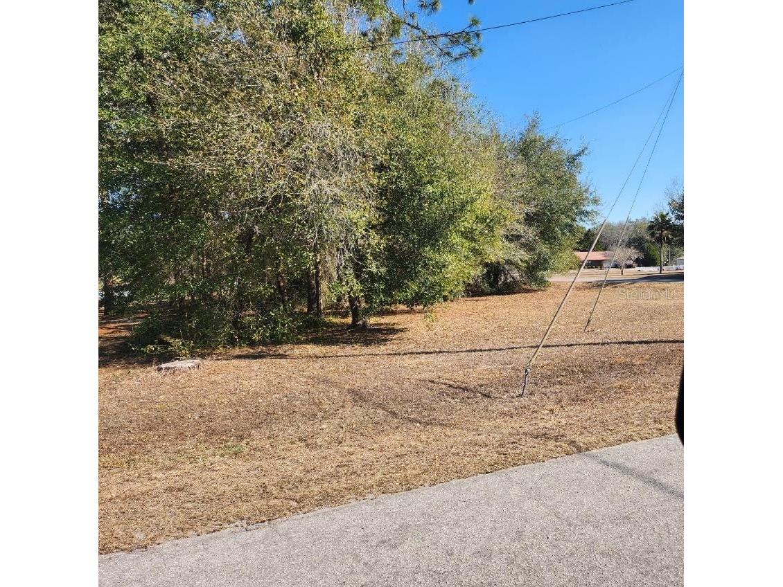 Se 97th Ter Summerfield FL 34491 TB8478193 image3
