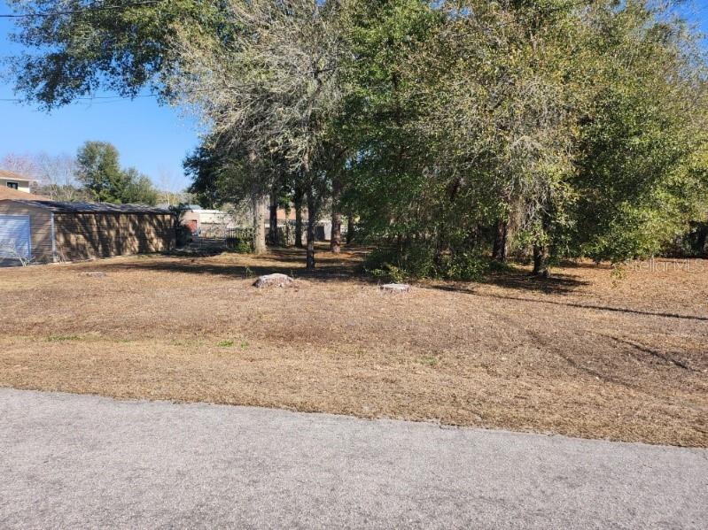 Se 97th Ter Summerfield FL 34491 TB8478193 image4