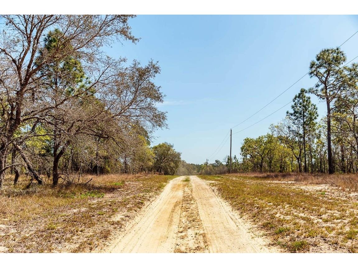 SE 98 Street Dunnellon FL 34431 R4909352 image3