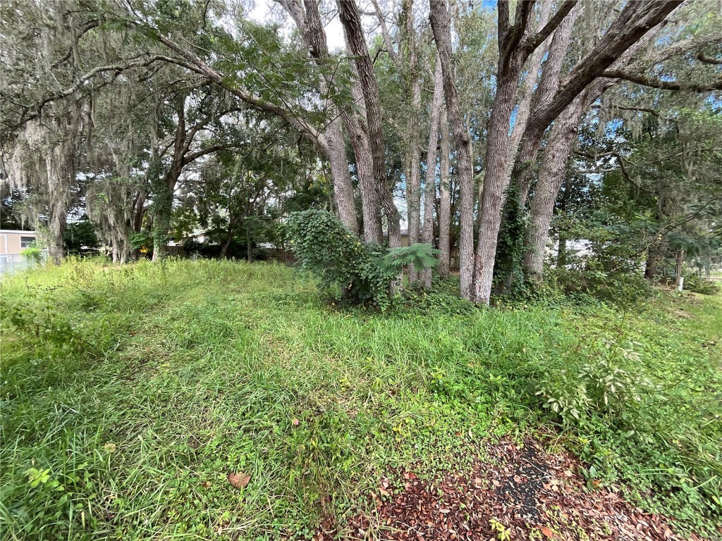 SE 99 Terrace SE Summerfield FL 34491 G5102658 image1