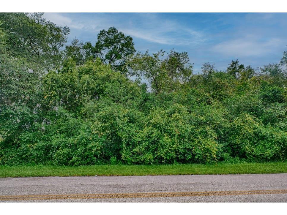 Se 9th Avenue Starke FL 32091 O6363632 image4