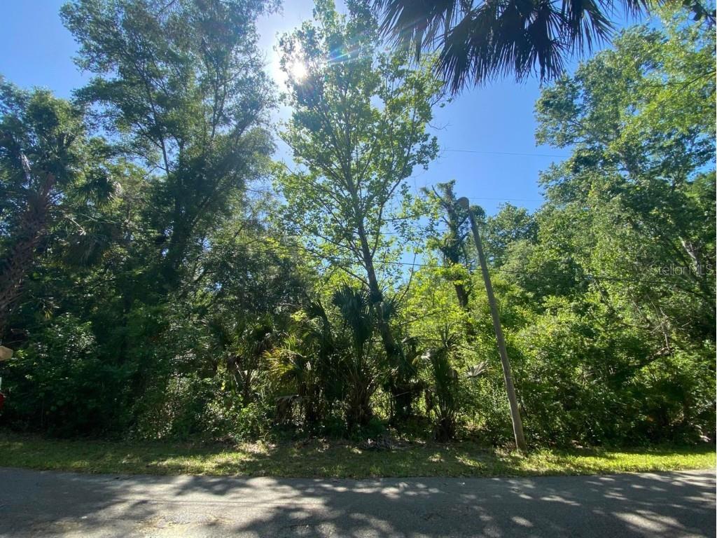 SE 9th Court Crystal River FL 34429 OK222203 image1