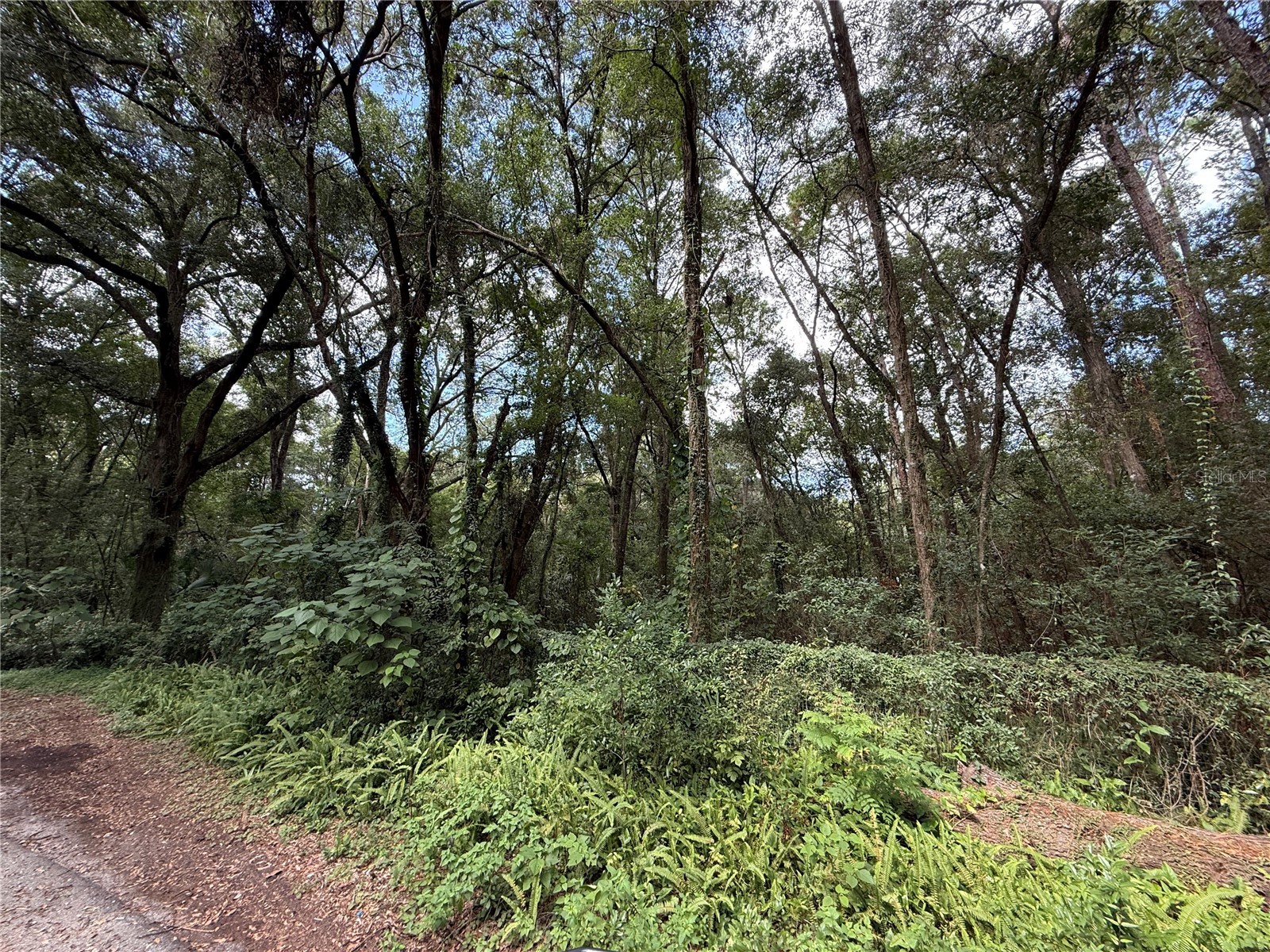 SE 9th Place Gainesville FL 32641 GC536008 image1