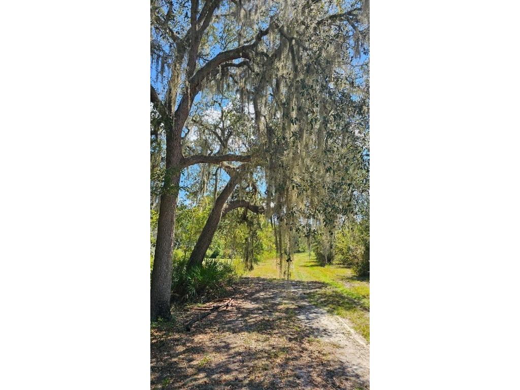 SE Blueberry Road White Springs FL 32096 GC524558 image1
