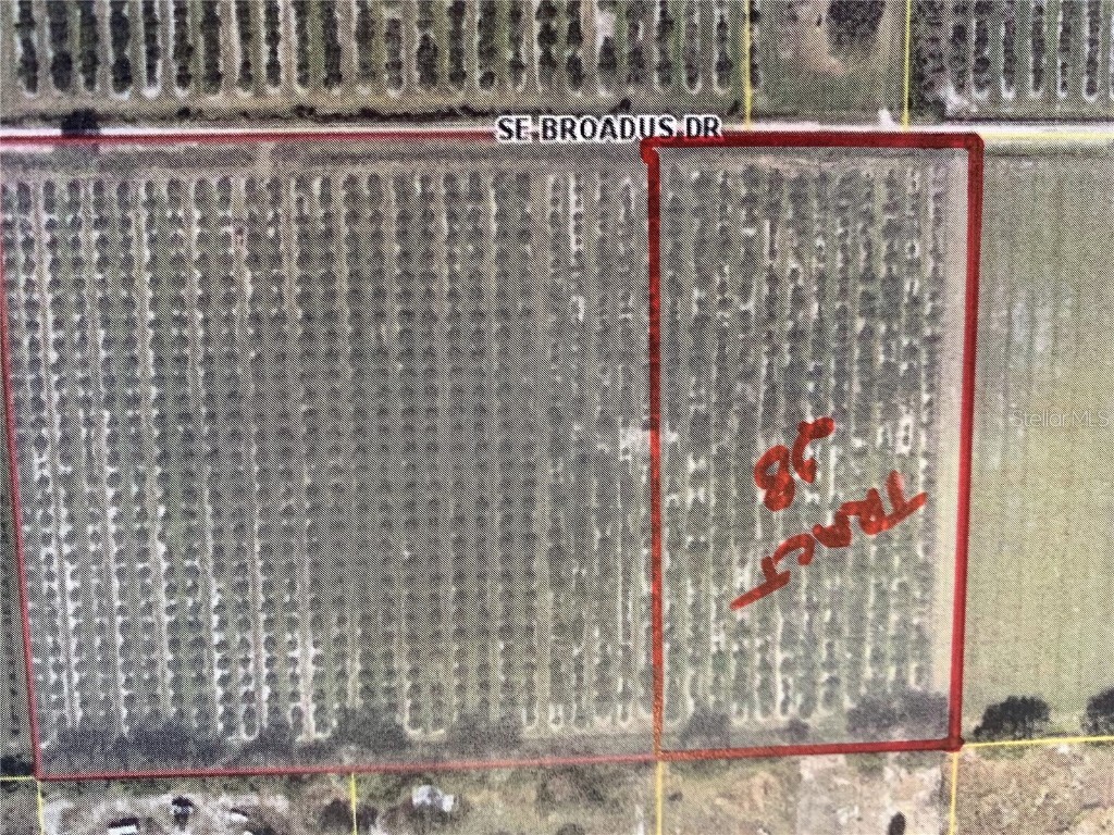 SE Broadus Drive Arcadia FL 34266 C7458084 image1
