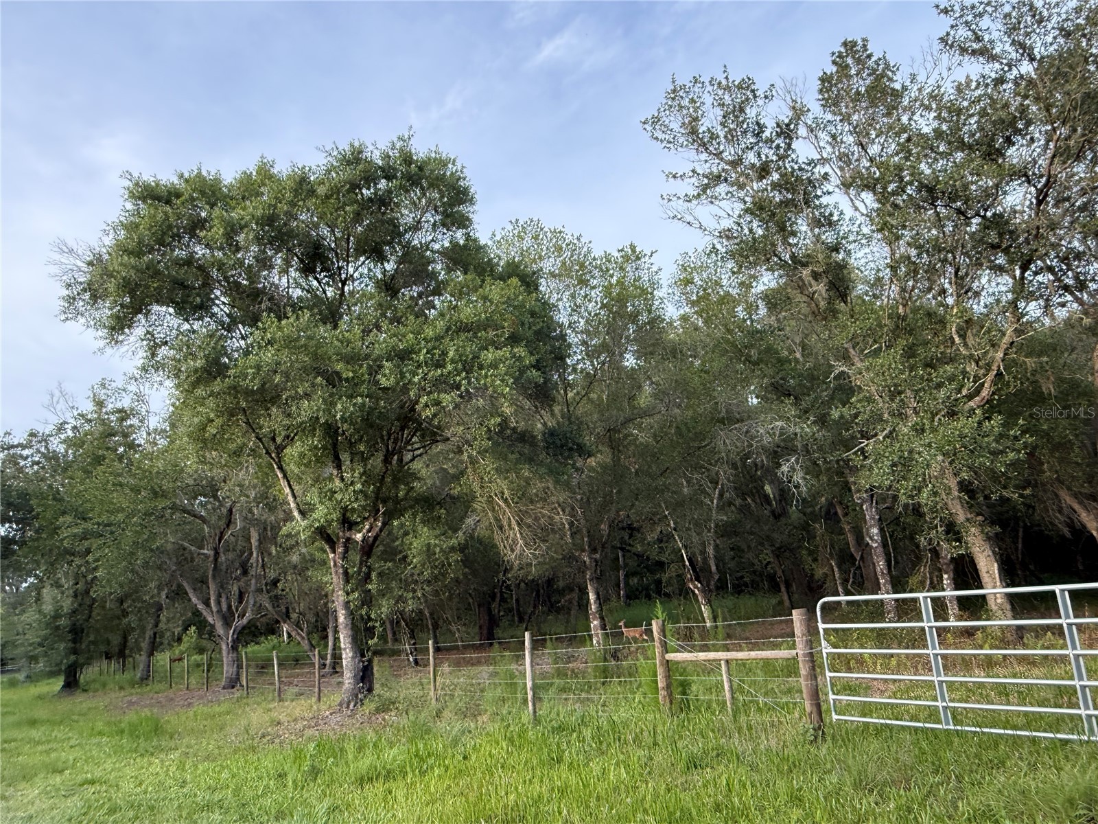 Se Brown Road Arcadia FL 34266 C7527324 image1