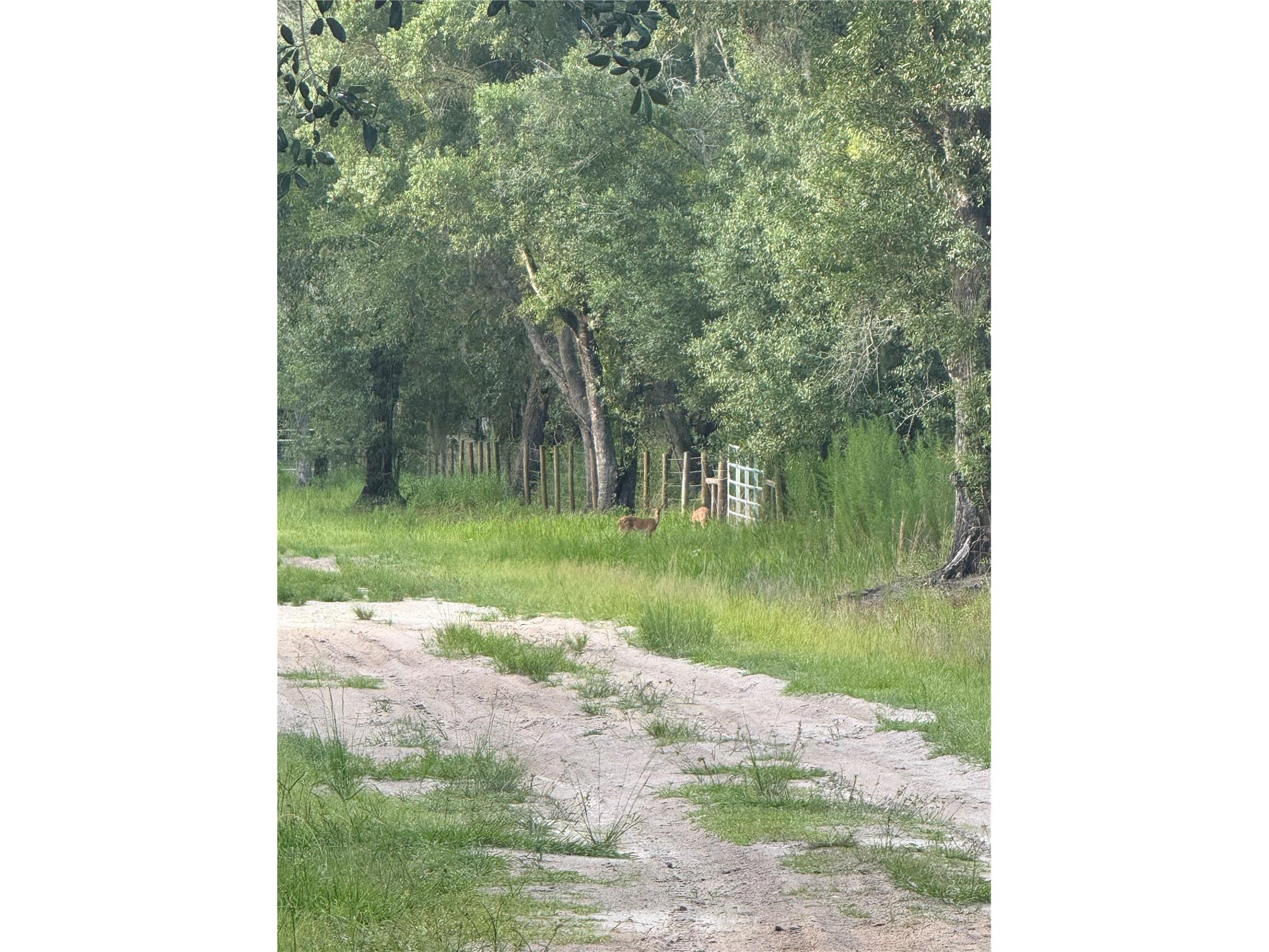 Se Brown Road Arcadia FL 34266 C7527324 image11