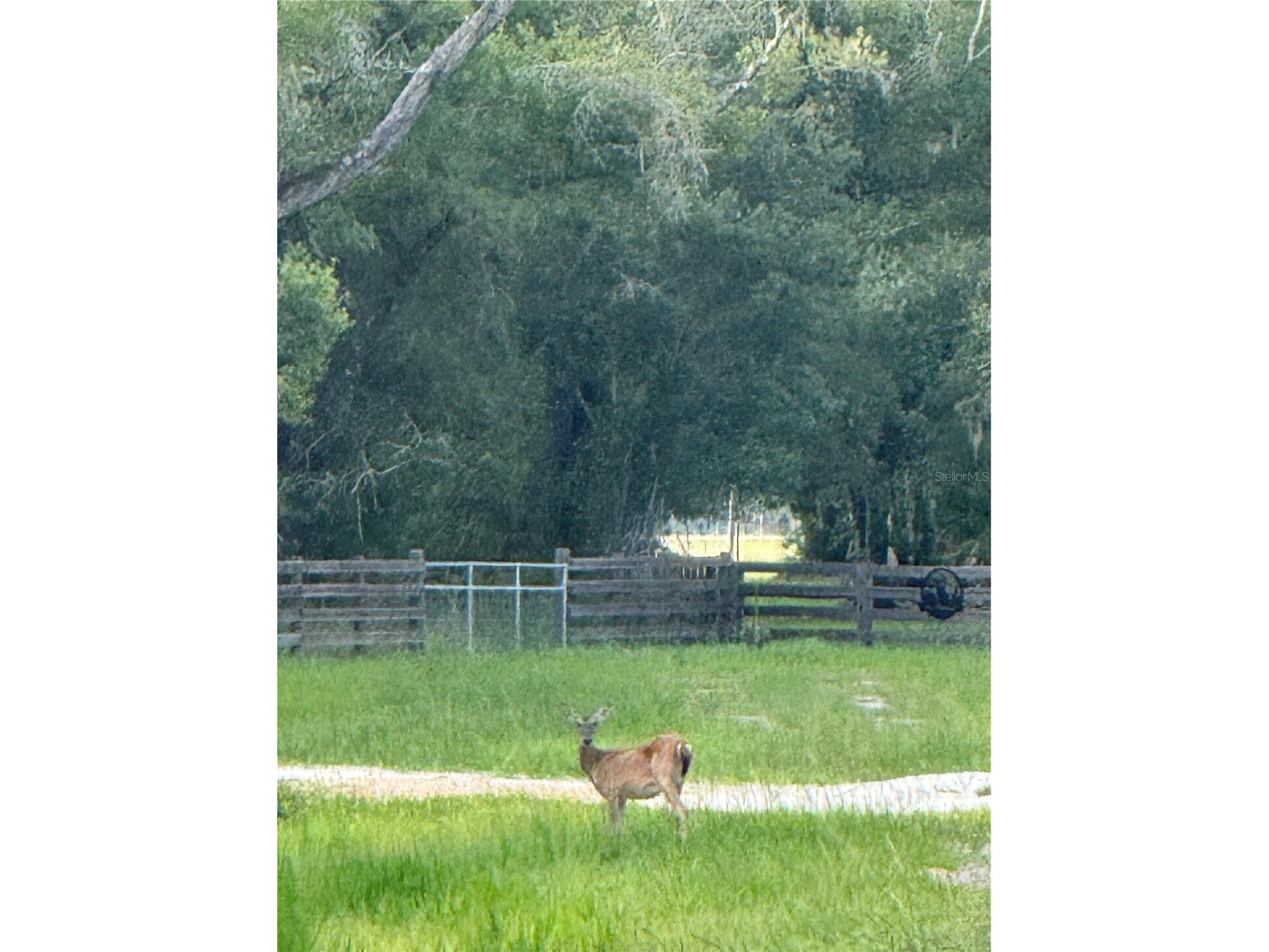 Se Brown Road Arcadia FL 34266 C7527324 image12