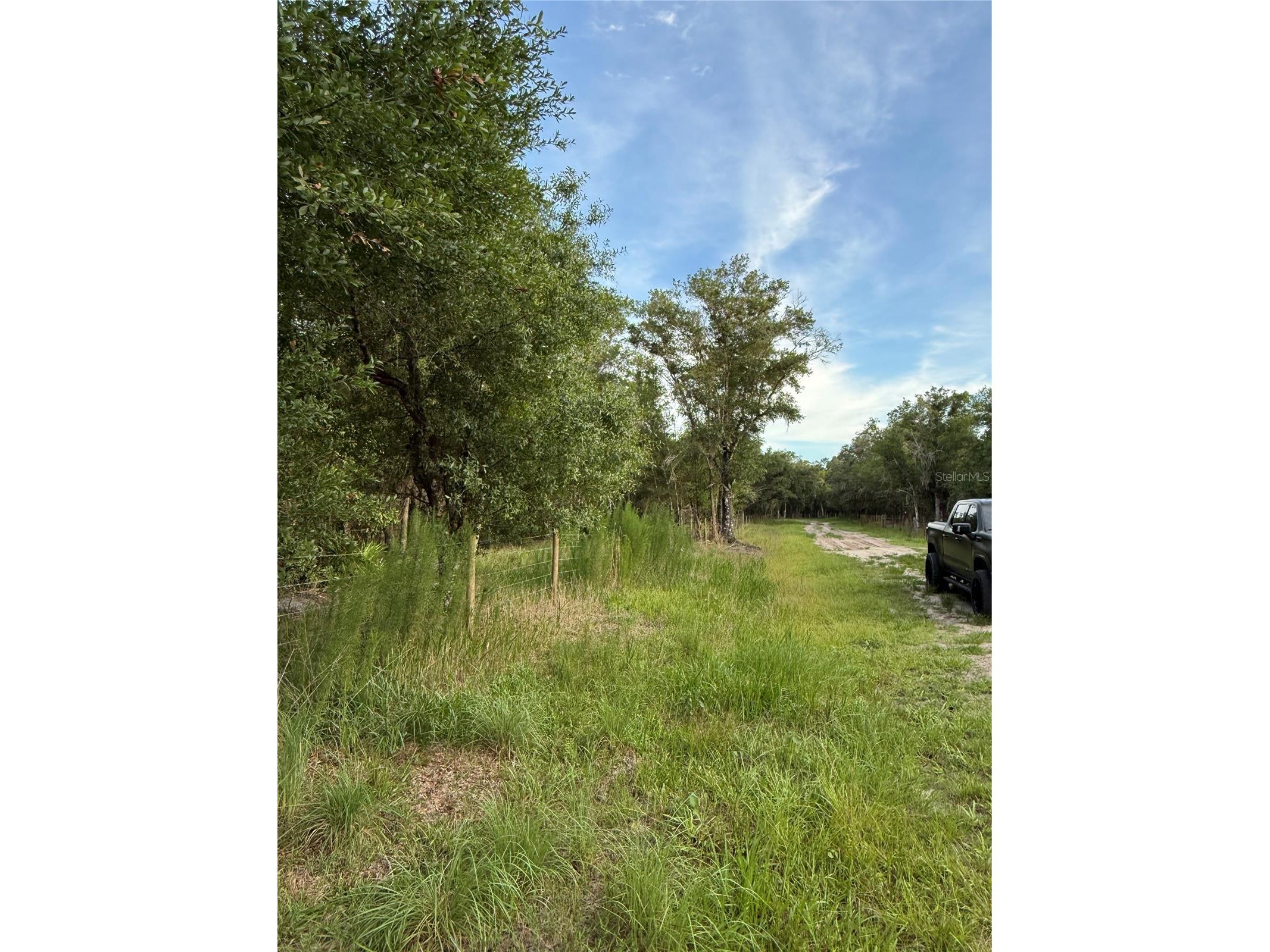 Se Brown Road Arcadia FL 34266 C7527324 image13
