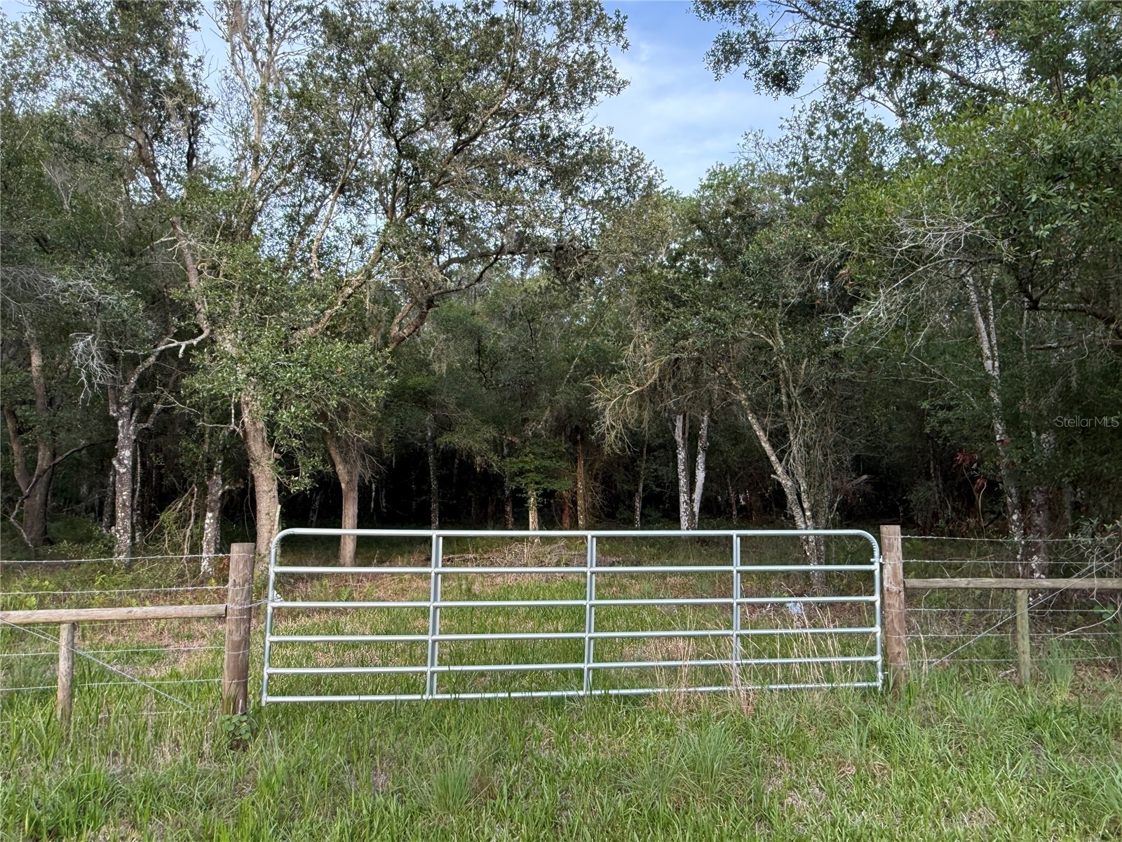 Se Brown Road Arcadia FL 34266 C7527324 image2