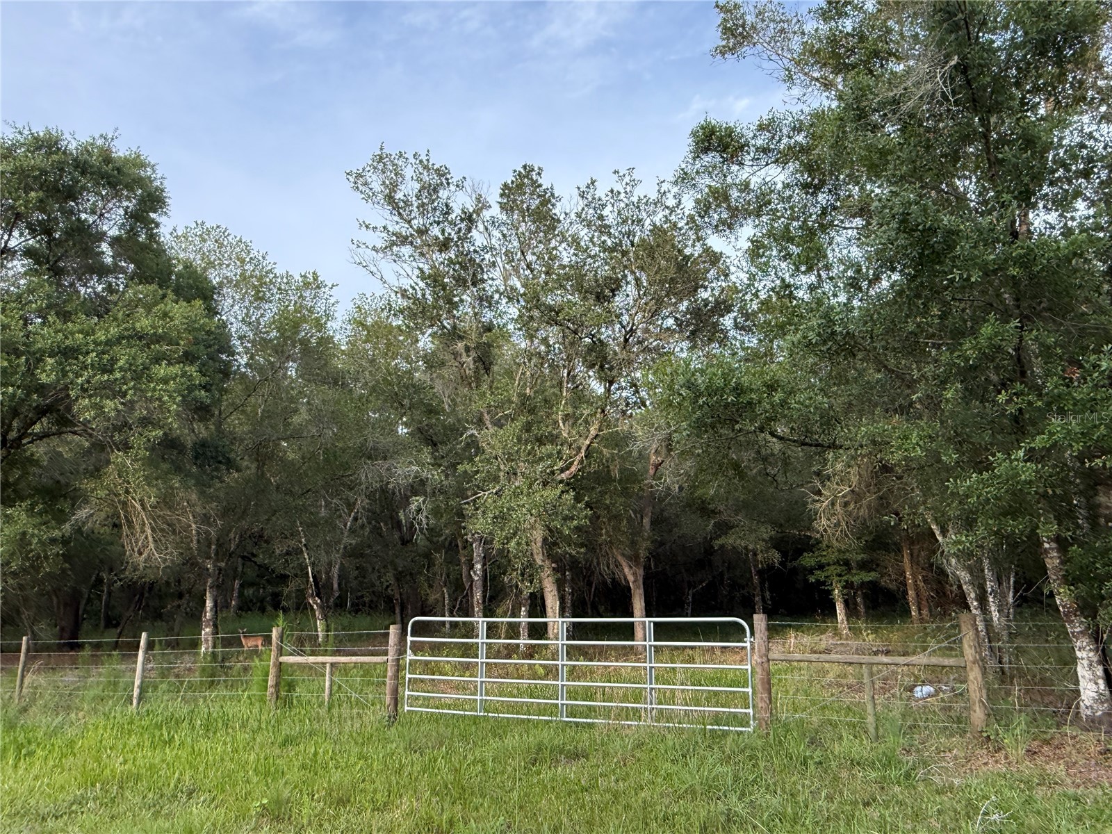 Se Brown Road Arcadia FL 34266 C7527324 image4