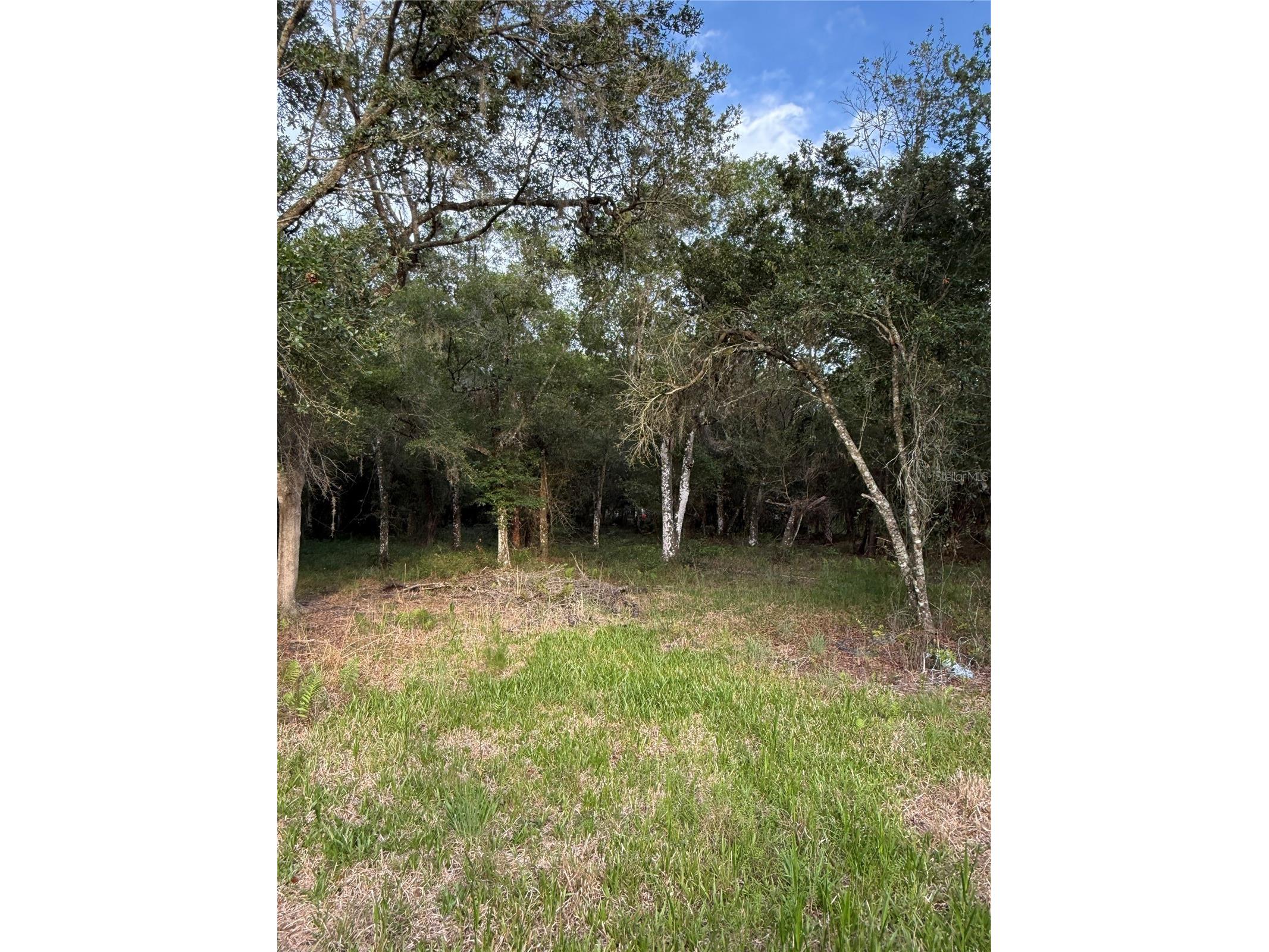 Se Brown Road Arcadia FL 34266 C7527324 image5
