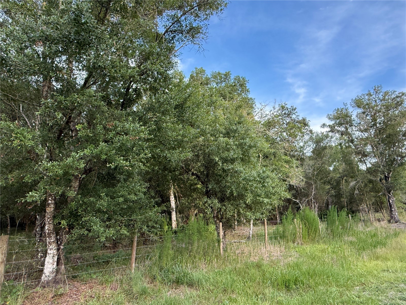 Se Brown Road Arcadia FL 34266 C7527324 image6