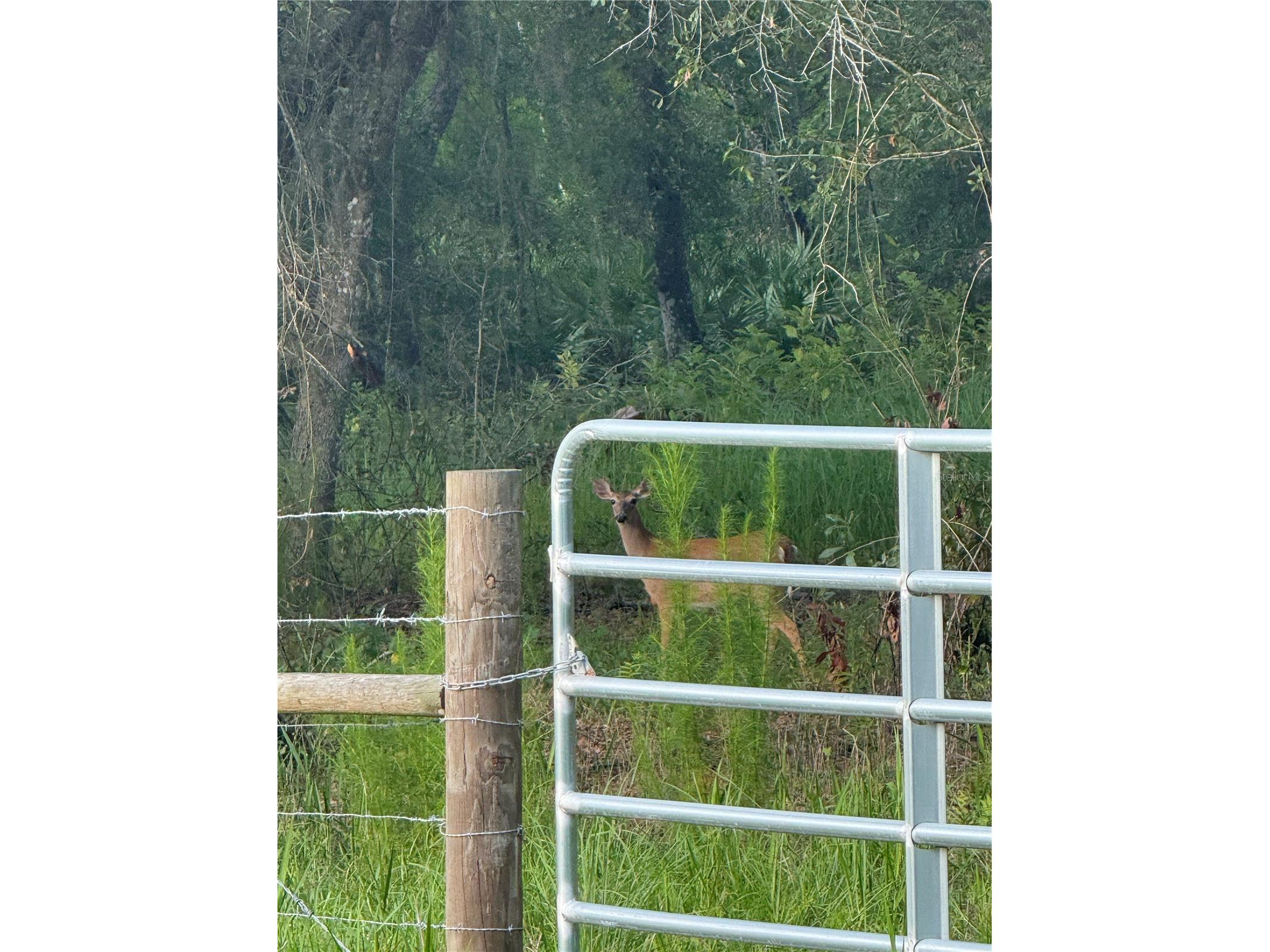 Se Brown Road Arcadia FL 34266 C7527324 image8