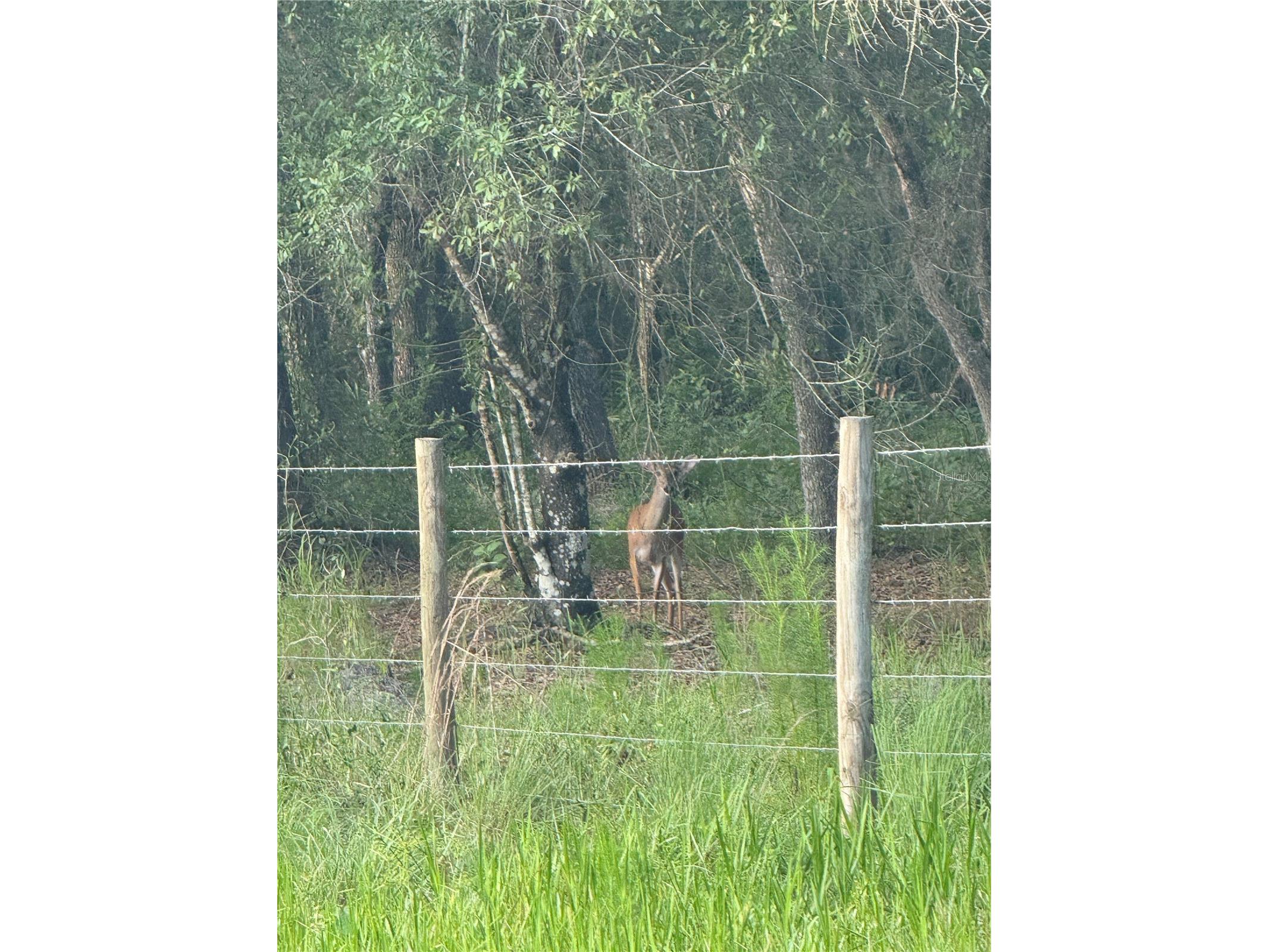 Se Brown Road Arcadia FL 34266 C7527324 image9