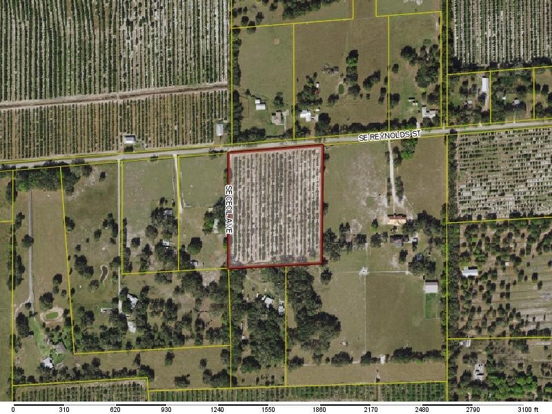 SE Cecil Avenue Arcadia FL 34266 C7454746 image1