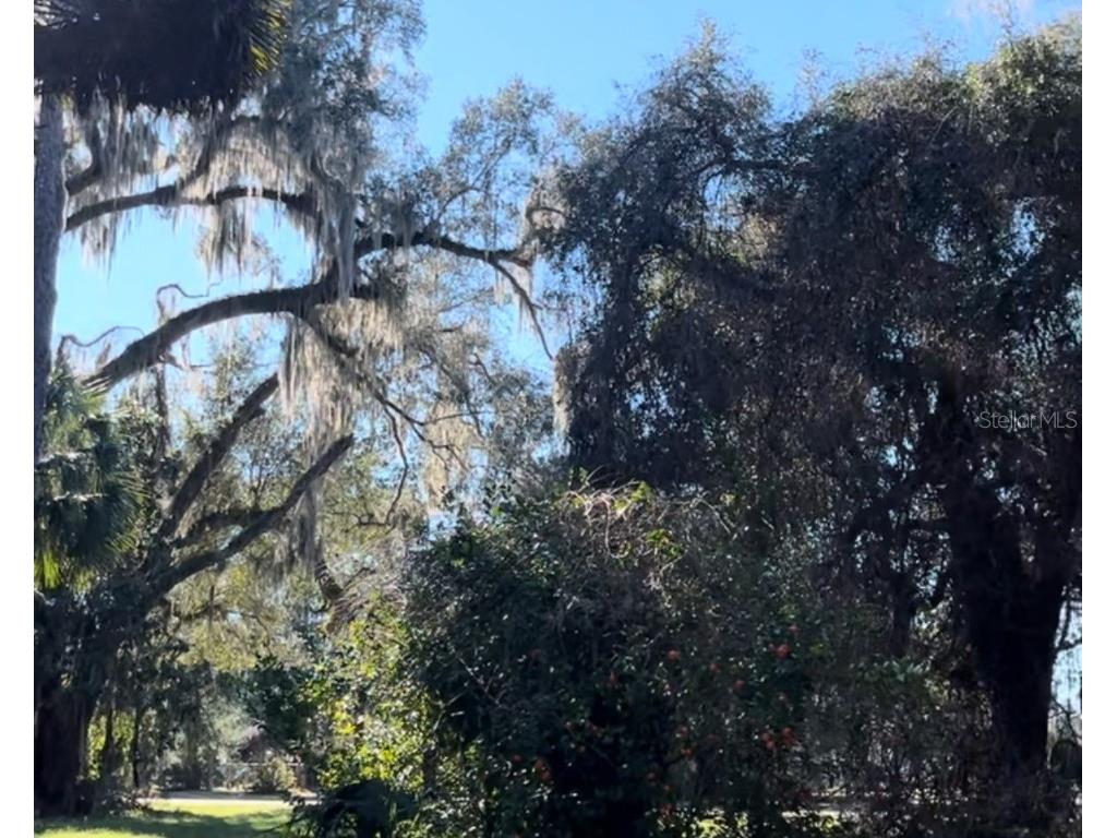 Se County Road 234 Micanopy FL 32667 J970841 image1