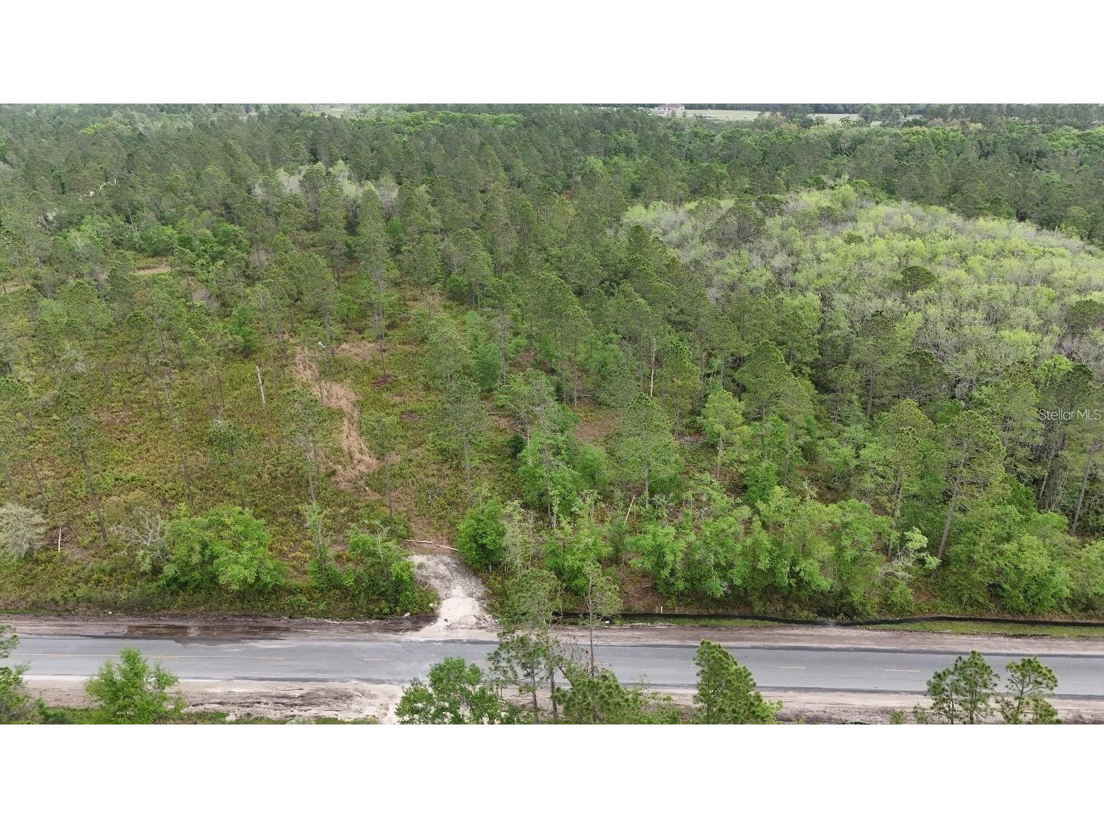 SE County Road 25a White Springs FL 32096 TB8512131 image16