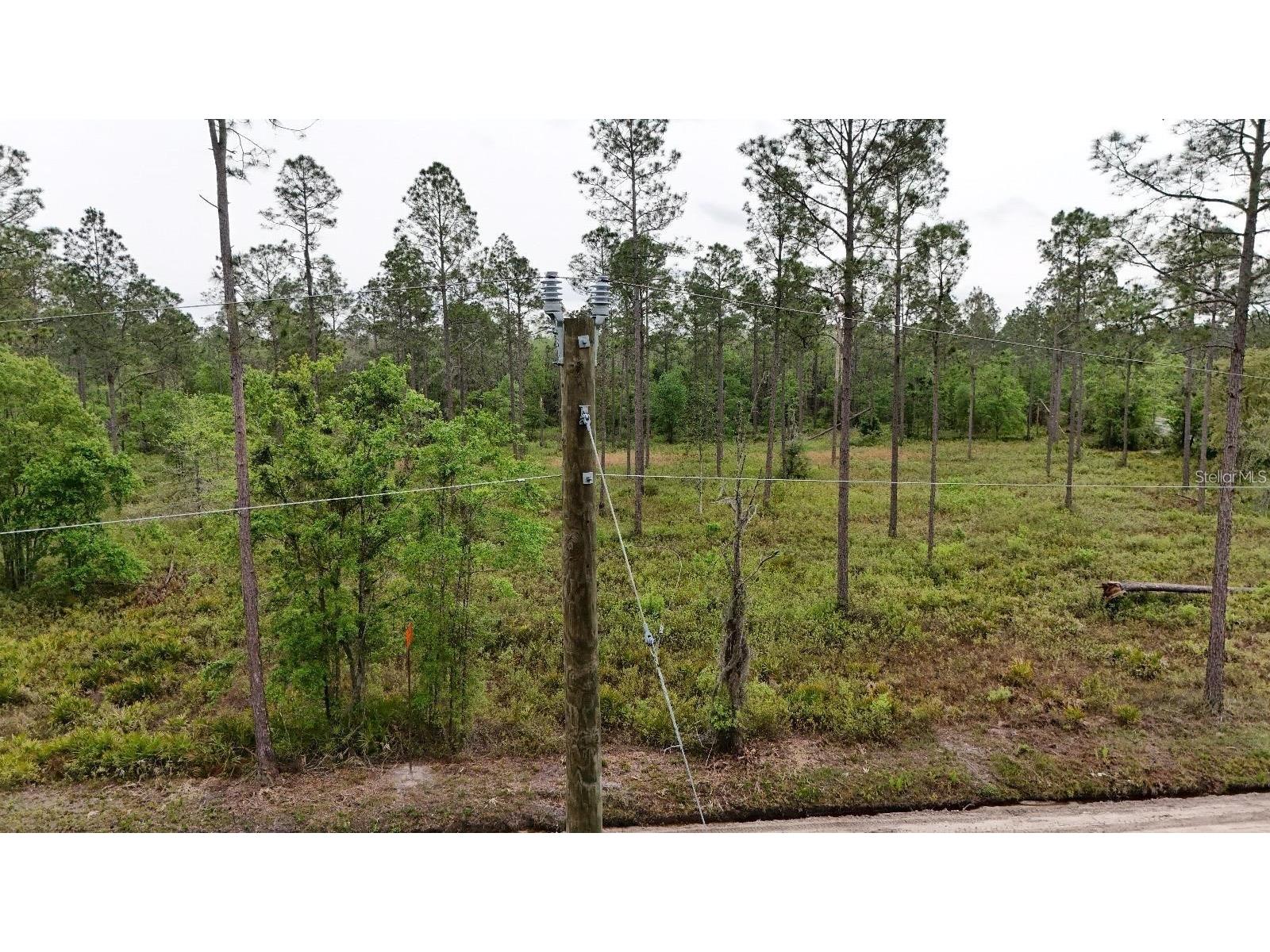 SE County Road 25a White Springs FL 32096 TB8512131 image17