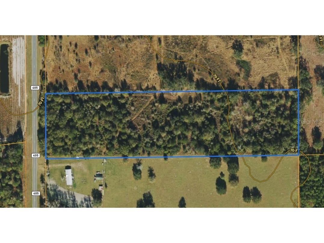 SE County Road 405 Mayo FL 32066 U8236051 image1