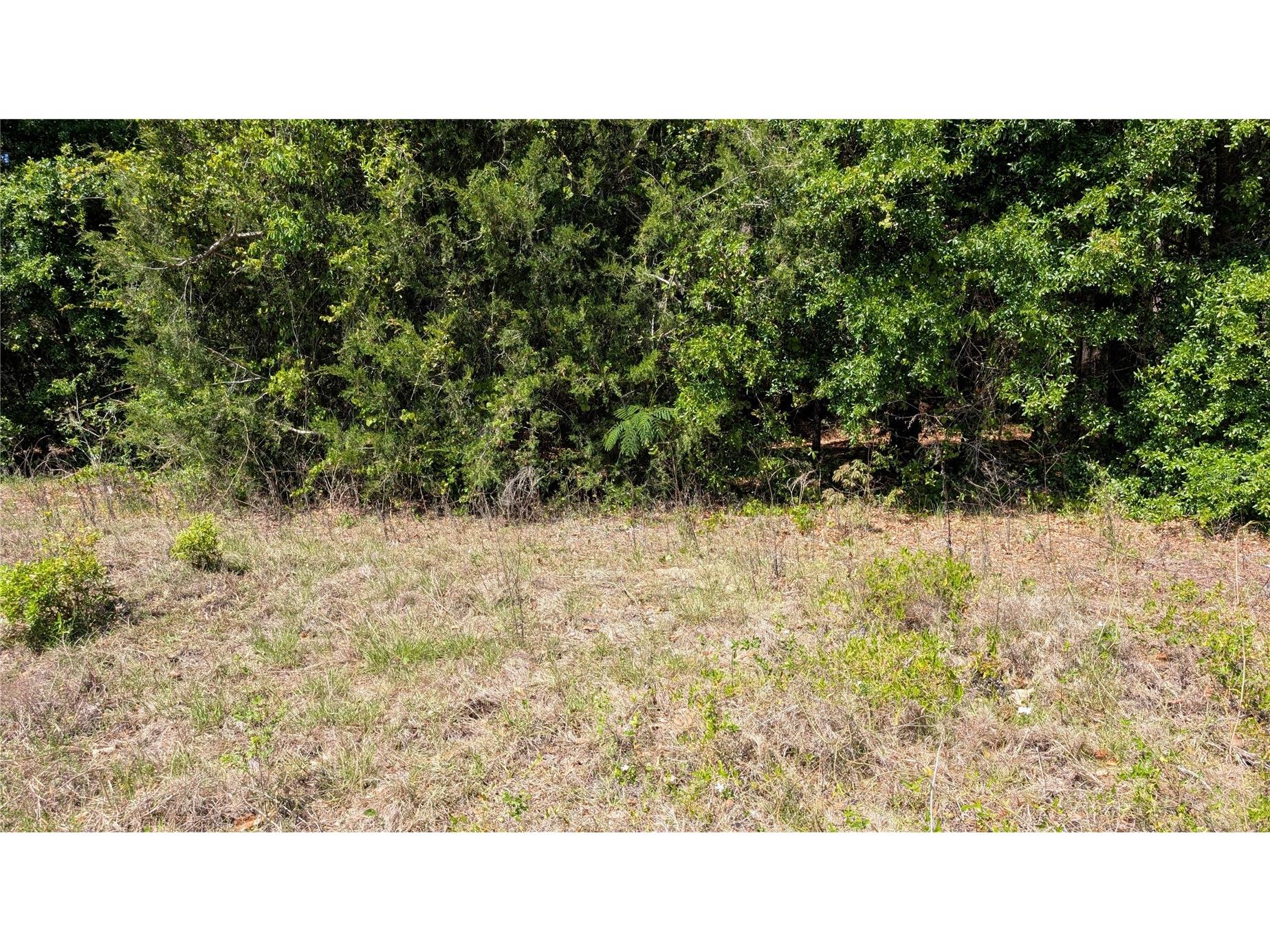 Se Cr 337 Trenton FL 32693 GC539570 image1
