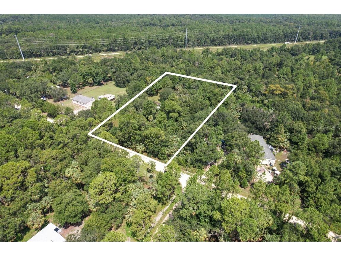 Se Debra Ave Inglis FL 34449 OM684041 image1