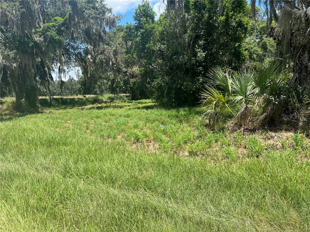 SE Durrance Street Arcadia FL 34266 A4543379 image1