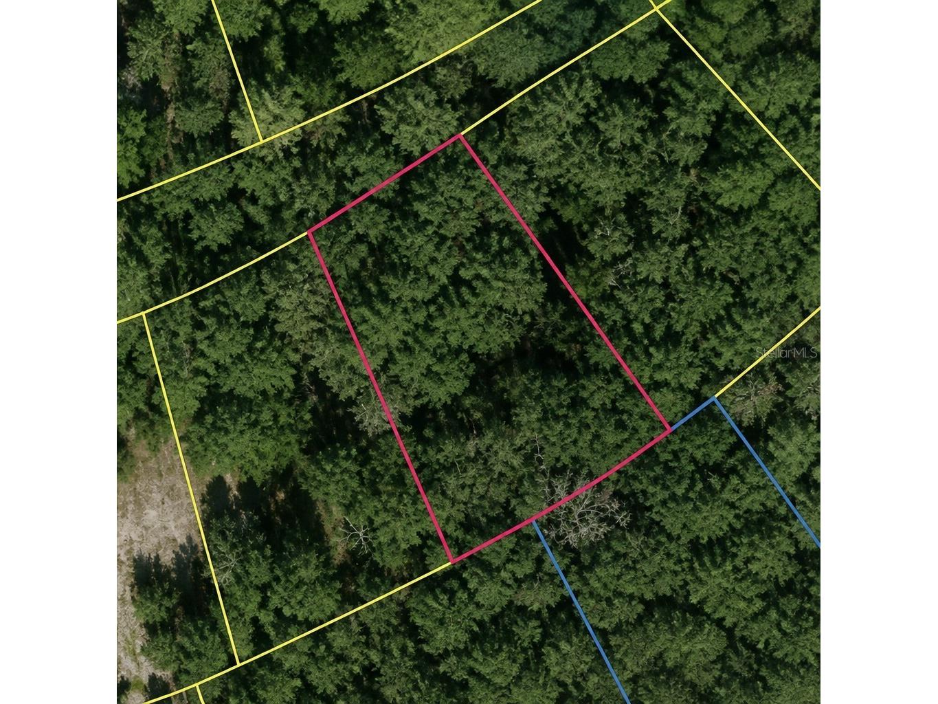 SE Fischer Lane Drive Ocklawaha FL 32179 TB8509681 image1