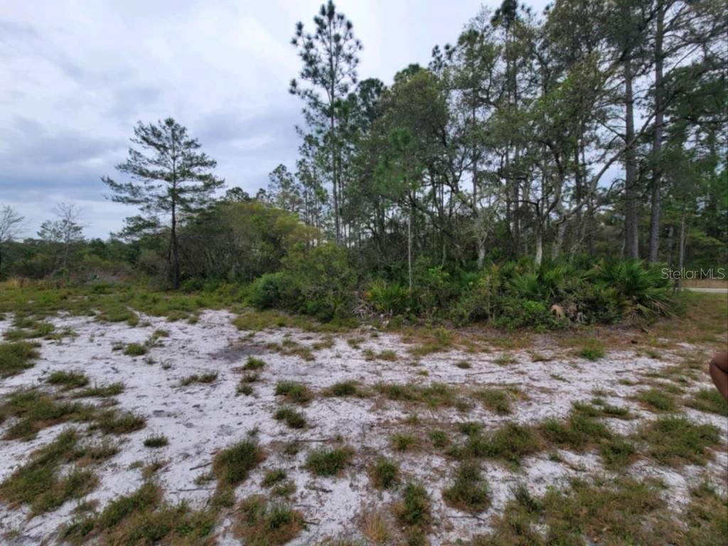 SE Fisher Road Ocklawaha FL 32179 C7494879 image1