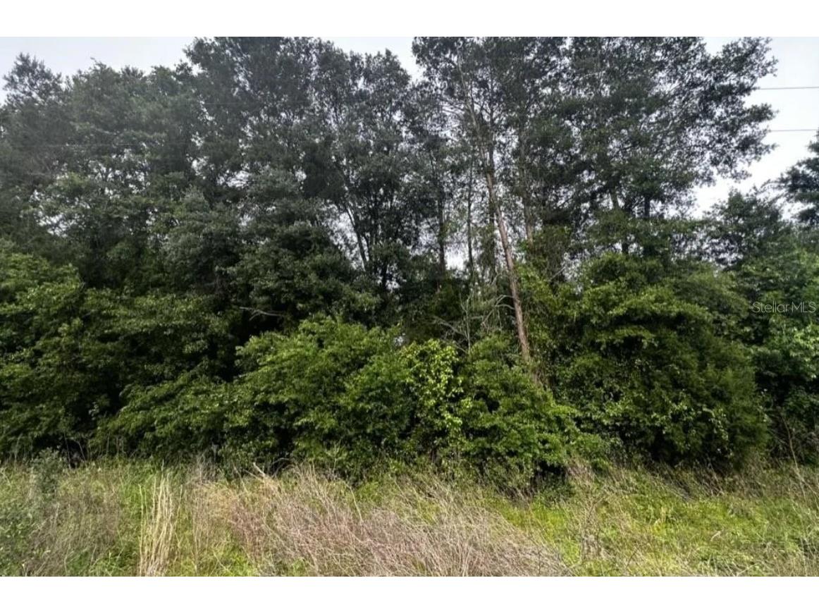 Se Gunpowder Avenue Madison FL 32340 O6351202 image10