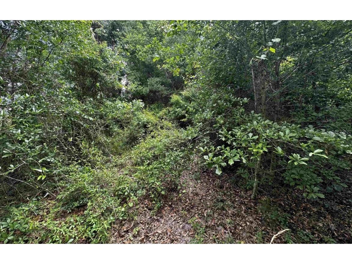 Se Gunpowder Avenue Madison FL 32340 O6351202 image6