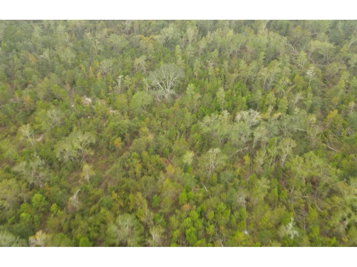 Se Gunpowder Avenue Madison FL 32340 O6351202 image8