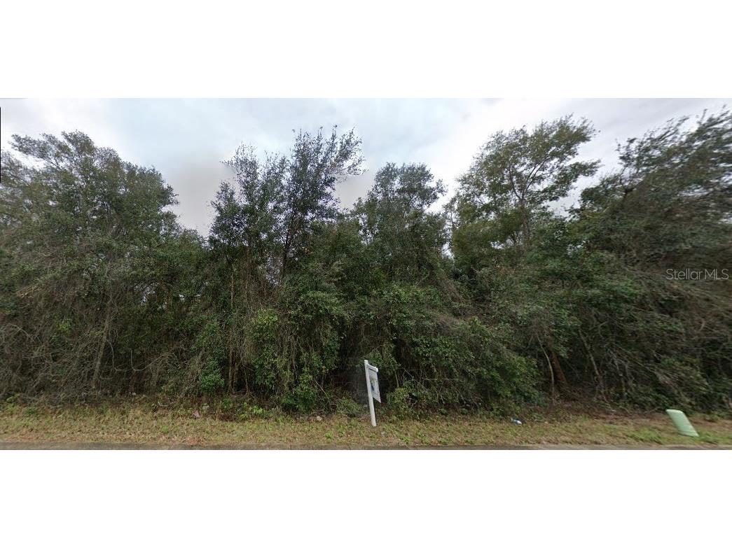 Se Hawthorne Rd Hawthorne FL 32640 O6231516 image2