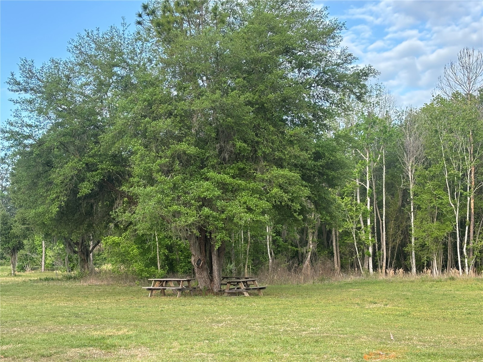 Se Hawthorne Road Hawthorne FL 32640 GC539183 image1