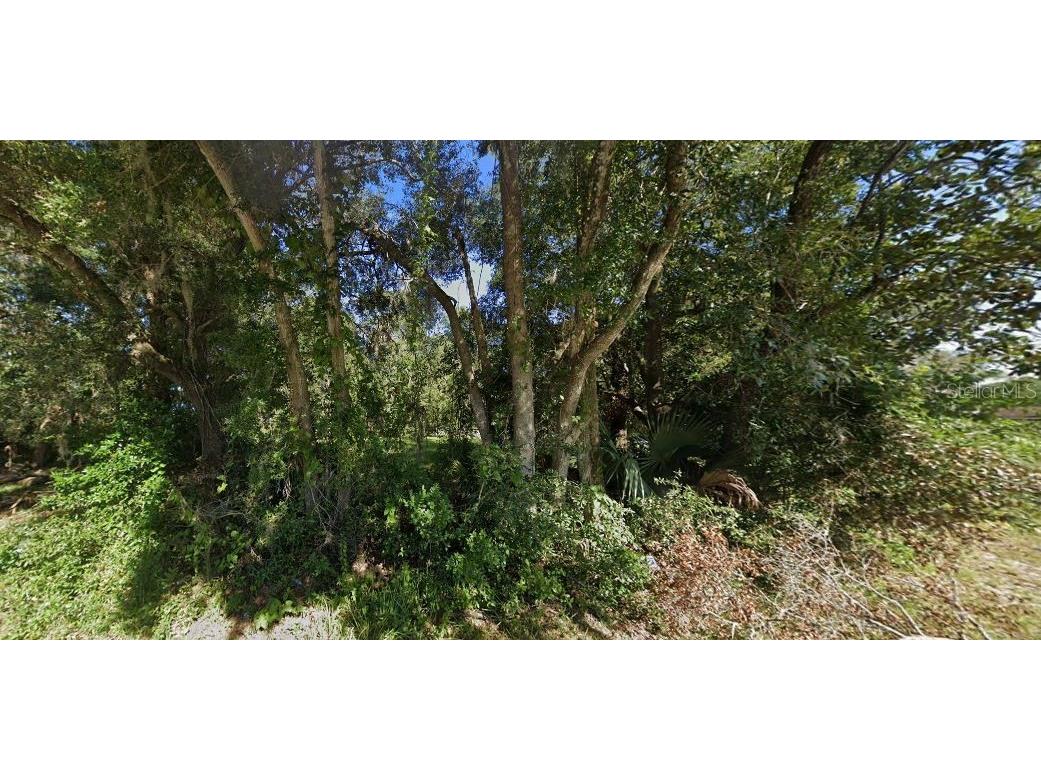 SE Hawthorne Road Hawthorne FL 32640 O6231524 image3