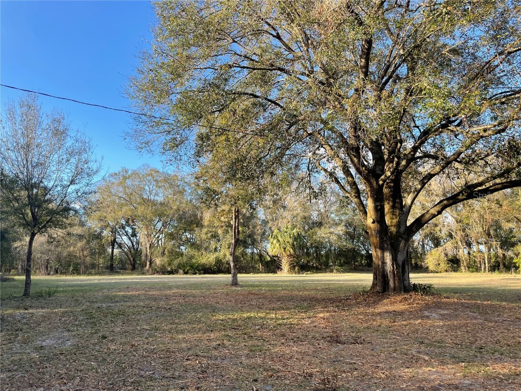 SE Highway 31 Arcadia FL 34266 A4543338 image1