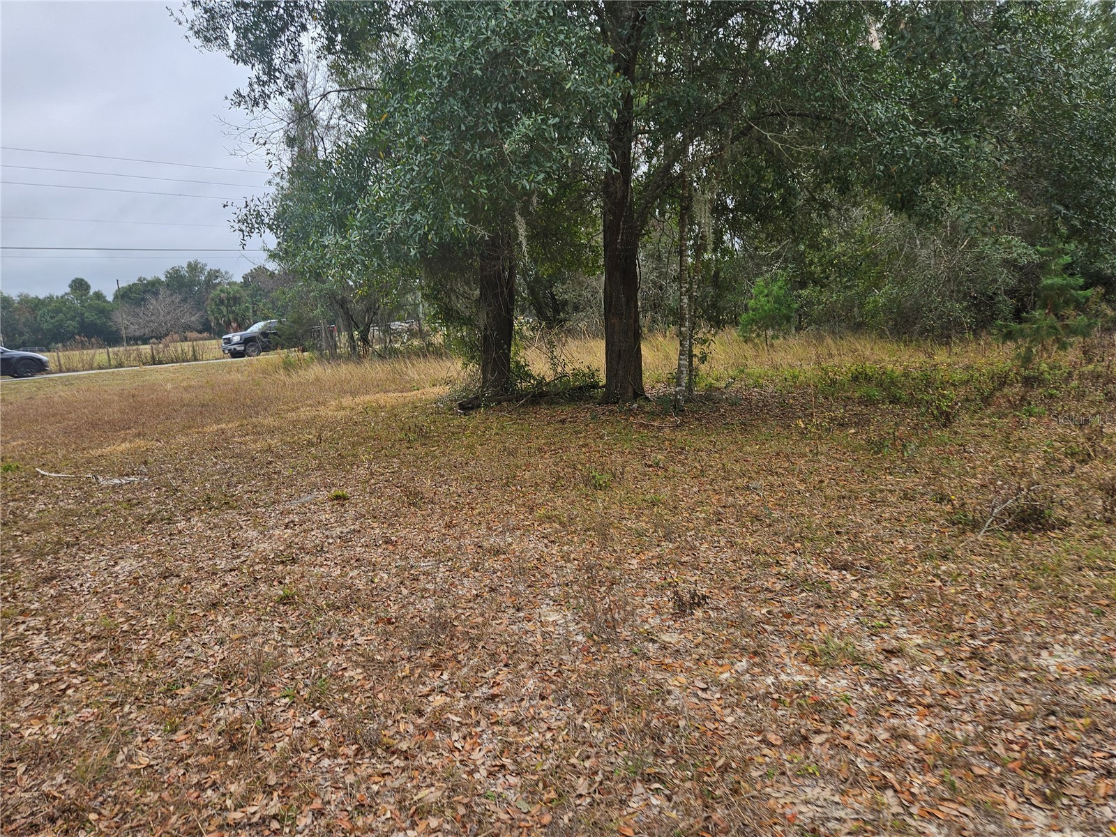 Se Highway 42 Weirsdale FL 32195 O6380480 image1