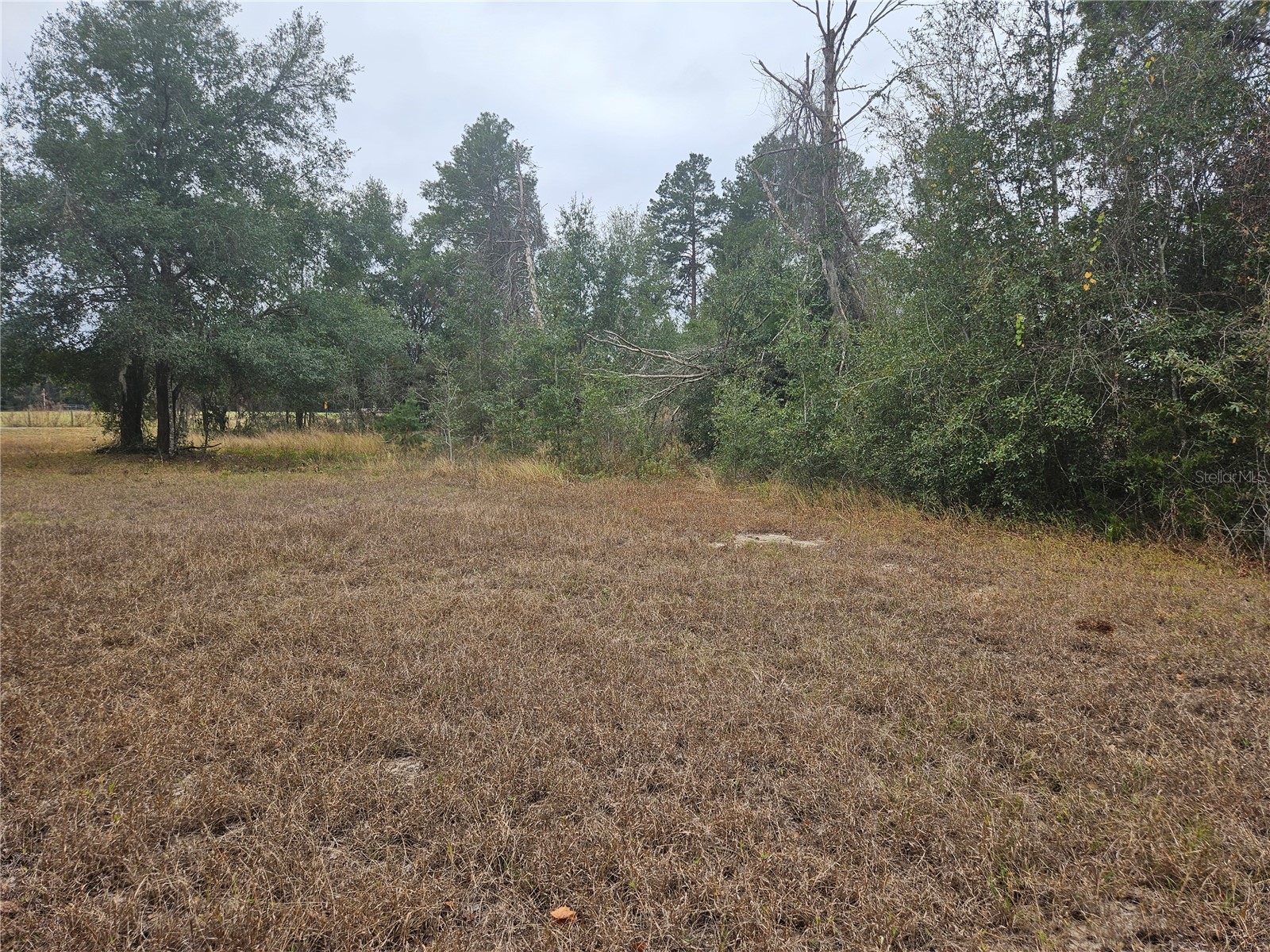 Se Highway 42 Weirsdale FL 32195 O6380480 image3