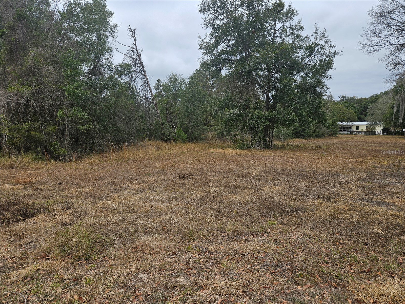 Se Highway 42 Weirsdale FL 32195 O6380480 image4