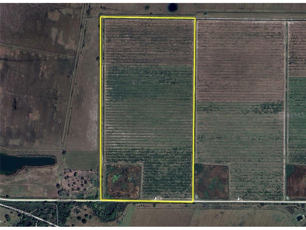 SE Hunter Road #80 Arcadia FL 34266 C7493447 image1