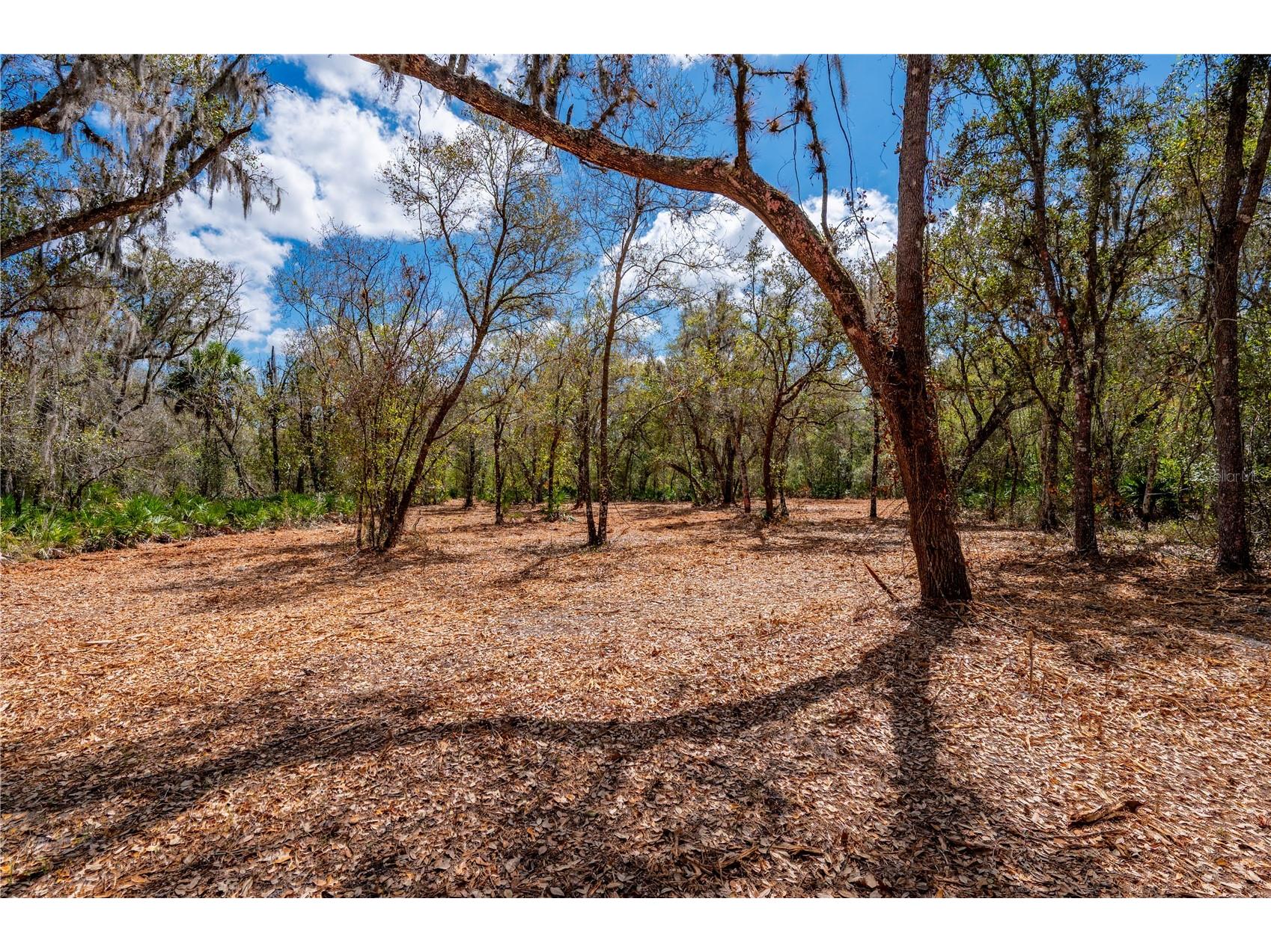 Se Hwy 31 #30 Arcadia FL 34266 C7523625 image10