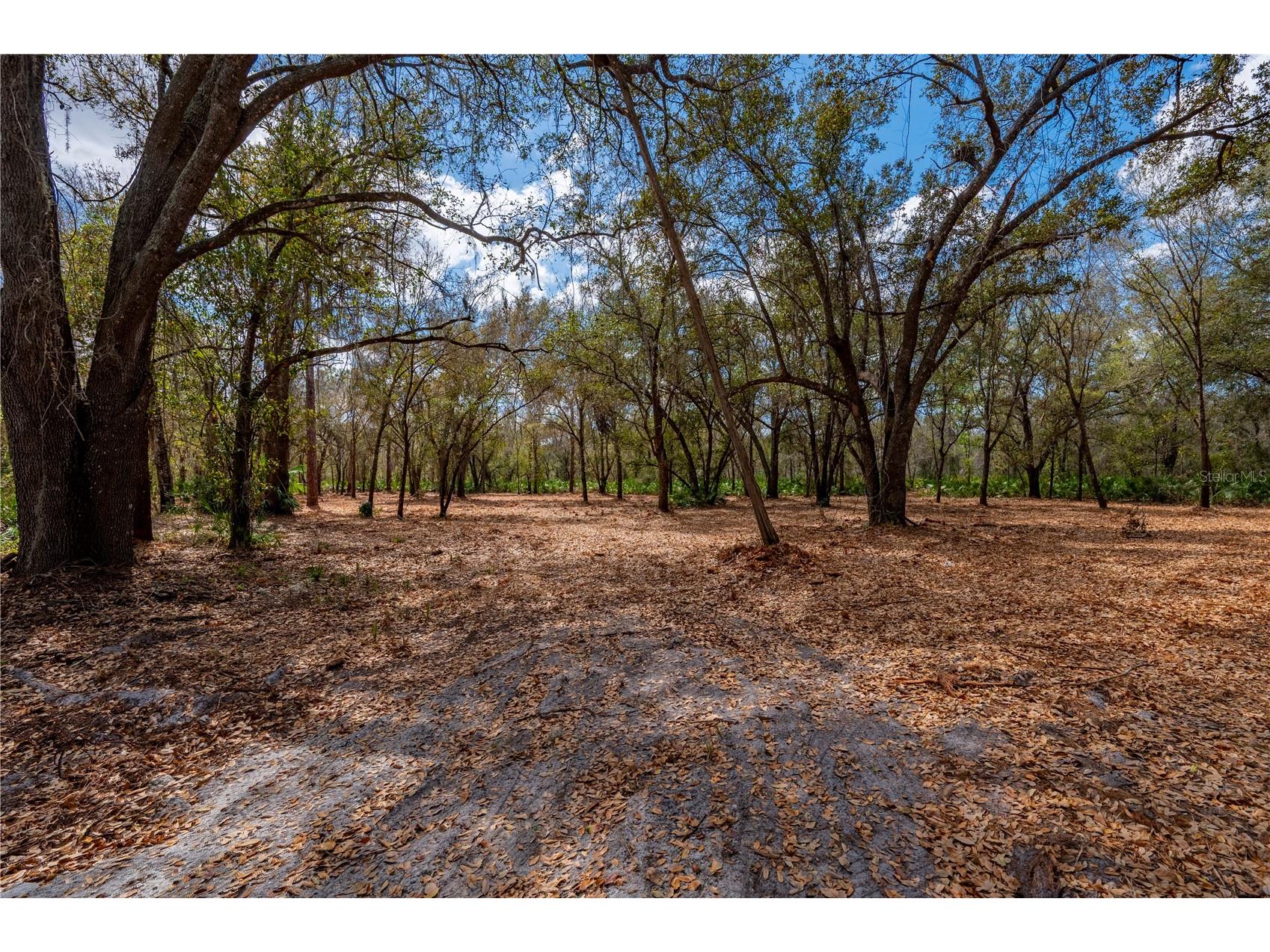 Se Hwy 31 #30 Arcadia FL 34266 C7523625 image7