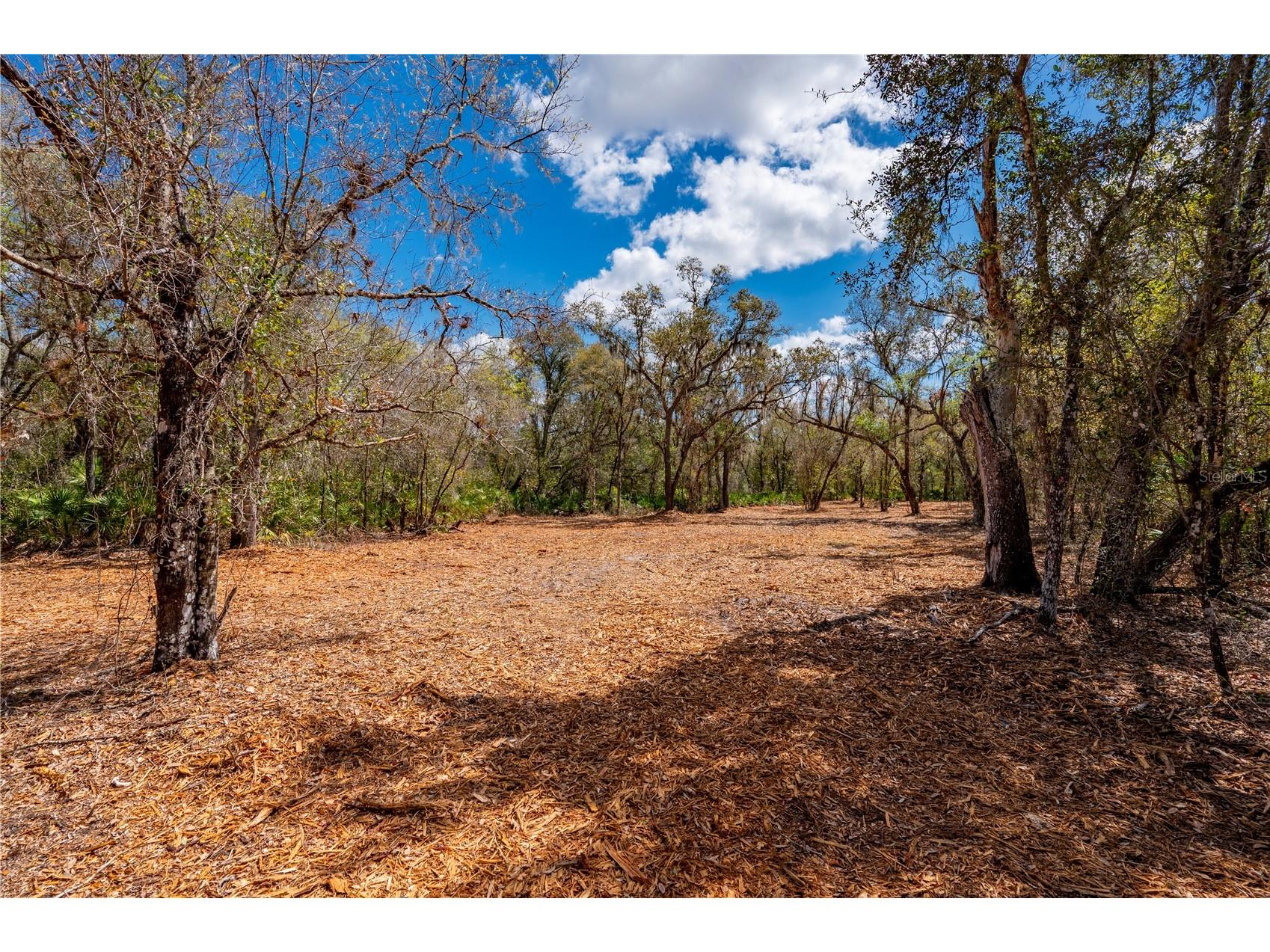 Se Hwy 31 #30 Arcadia FL 34266 C7523625 image8