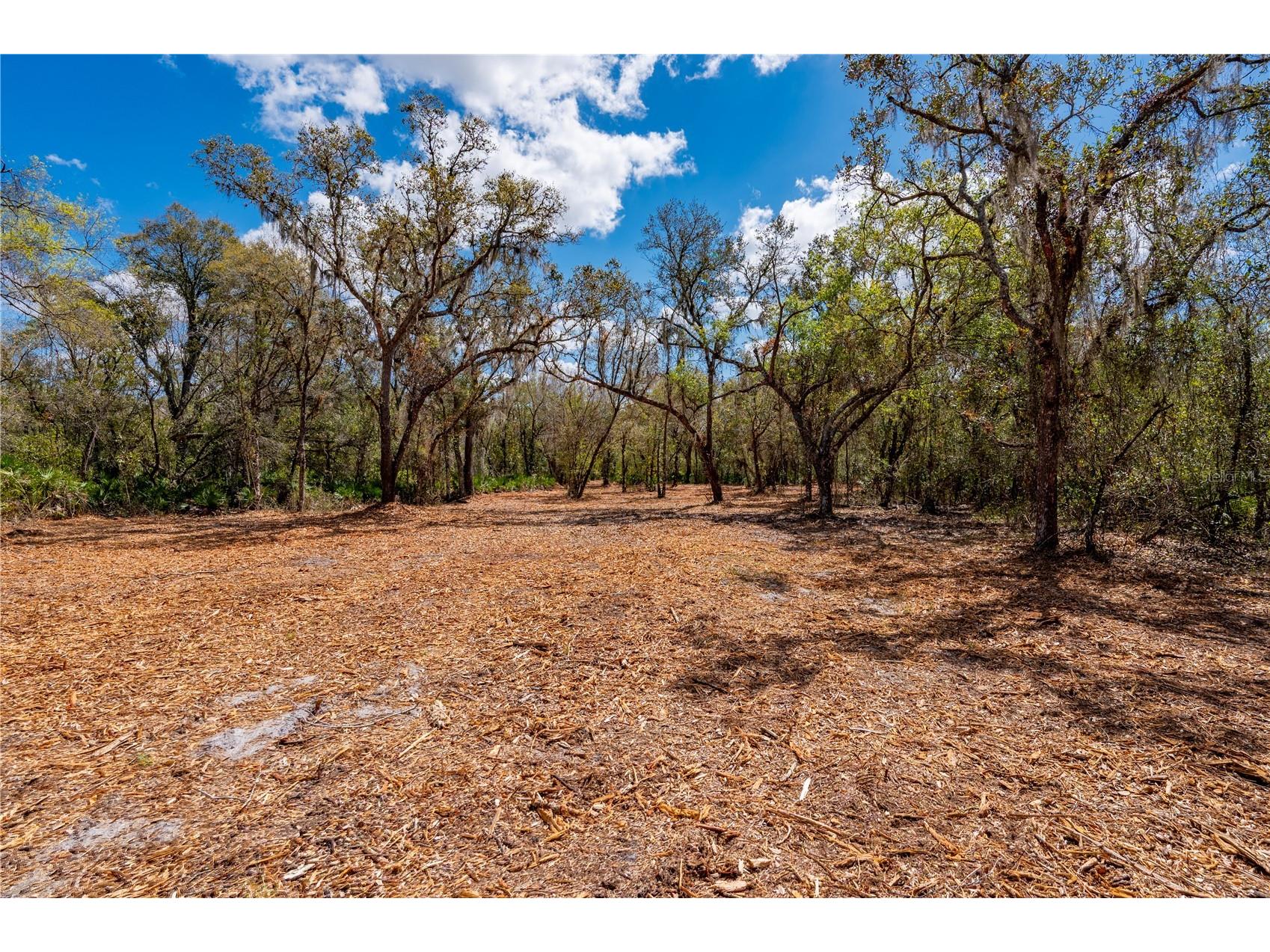 Se Hwy 31 #30 Arcadia FL 34266 C7523625 image9