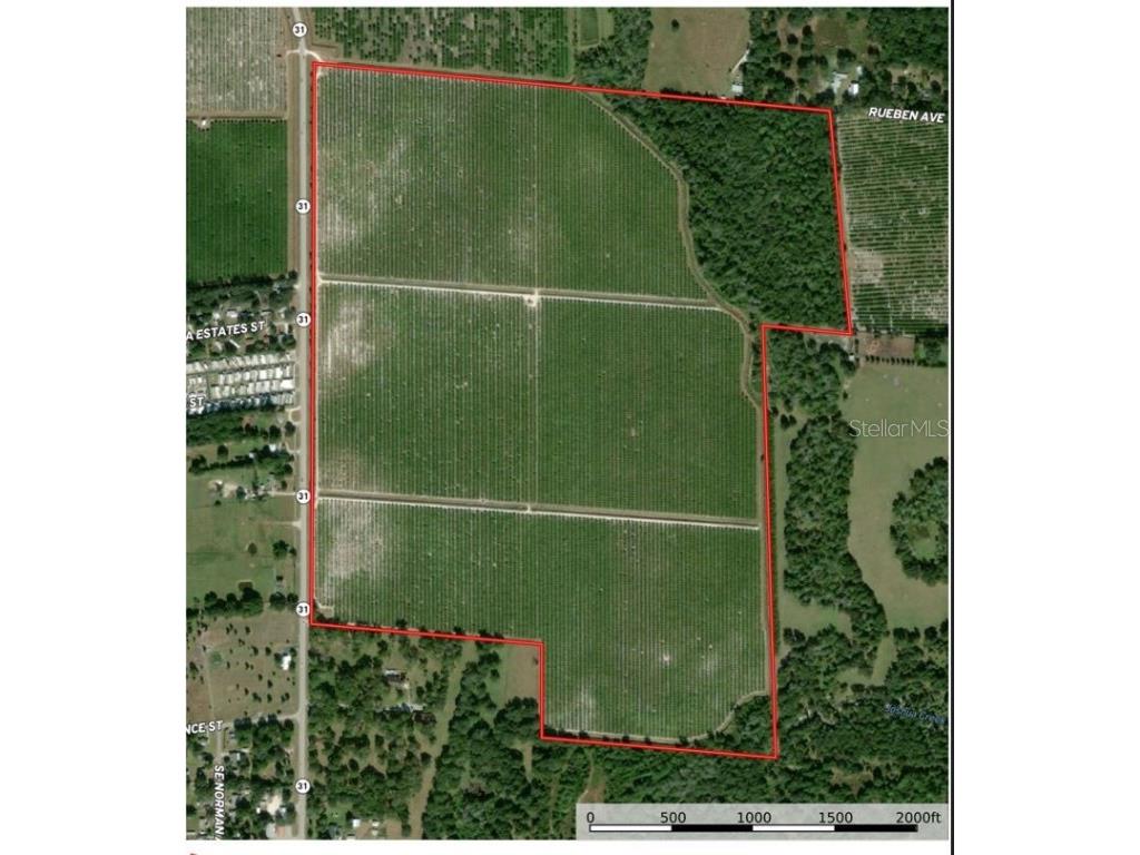 SE Hwy 31 Arcadia FL 34266 B4901165 image1