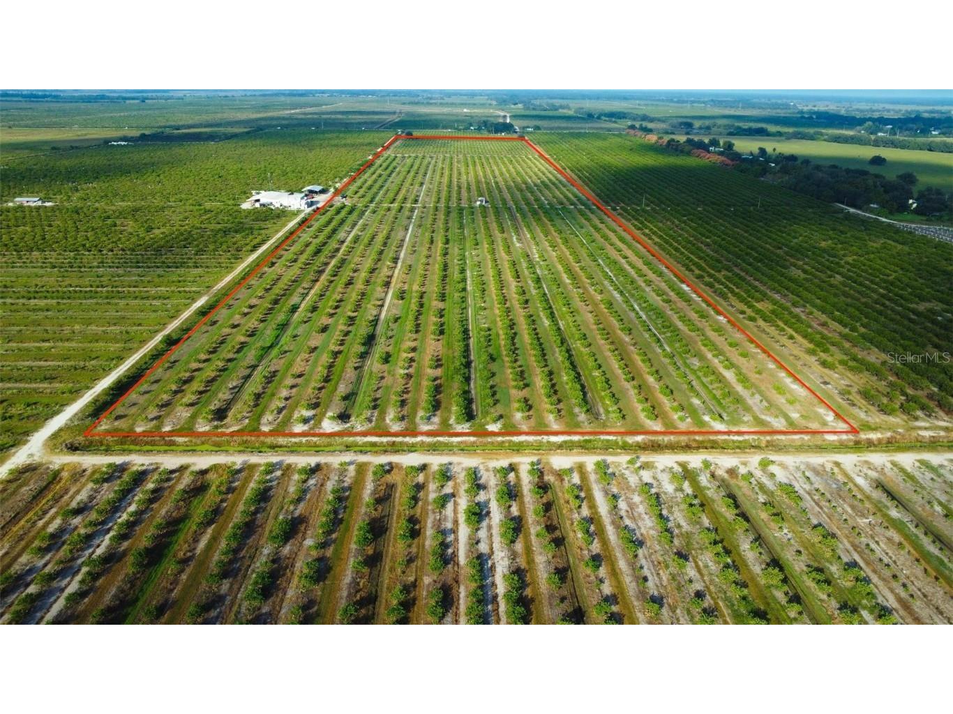 Se Hwy 31 Arcadia FL 34266 A4670139 image3