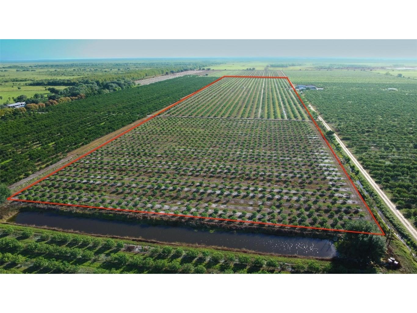 Se Hwy 31 Arcadia FL 34266 A4670139 image4