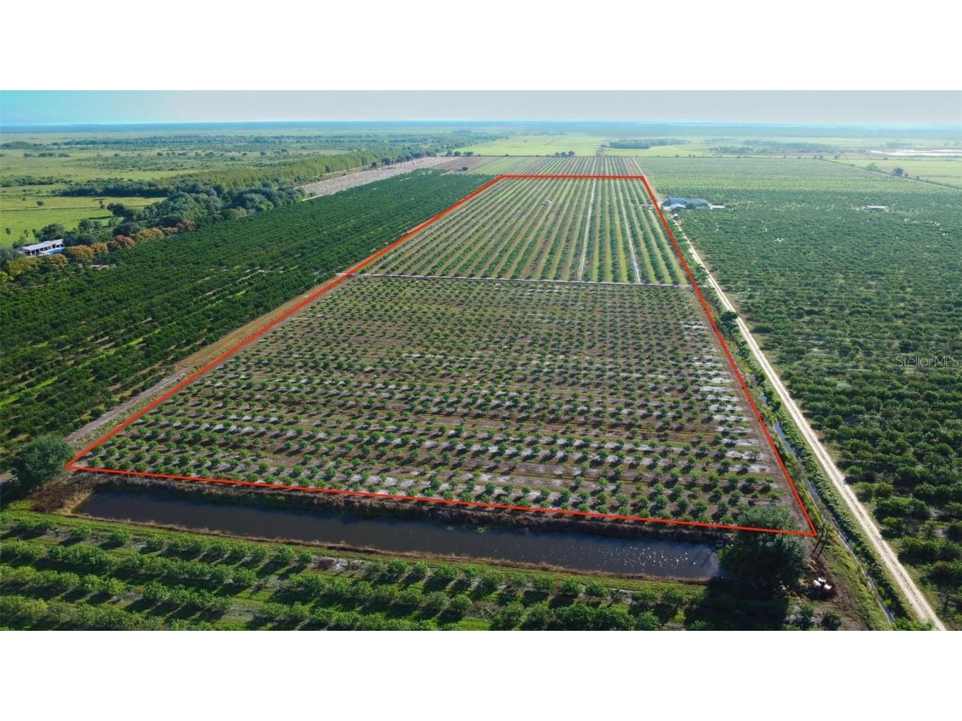 Se Hwy 31 Arcadia FL 34266 A4670139 image5